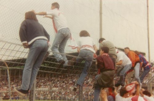 Lanerossi Vicenza - Carpi 1-1 — foto 2